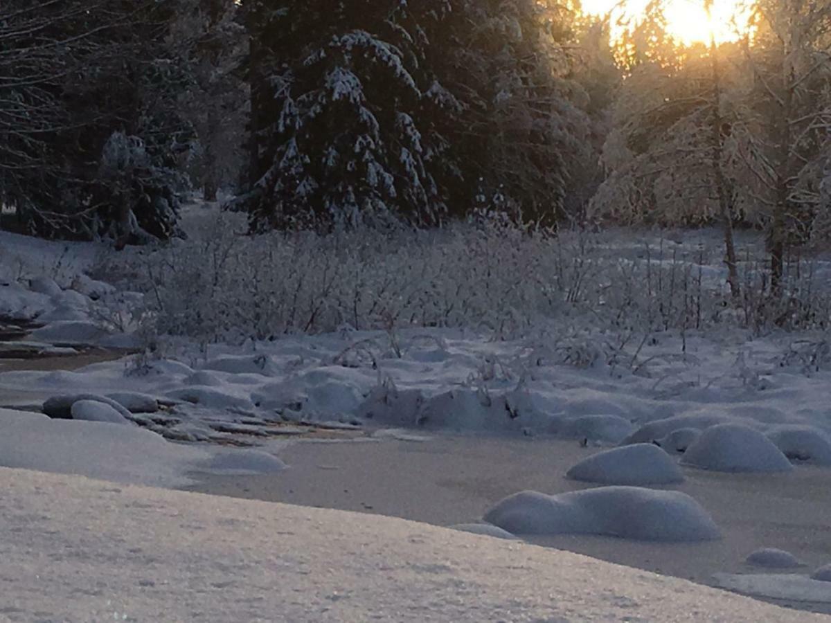 Seinaejoen Leirintaealue Hotel Seinajoki Luaran gambar